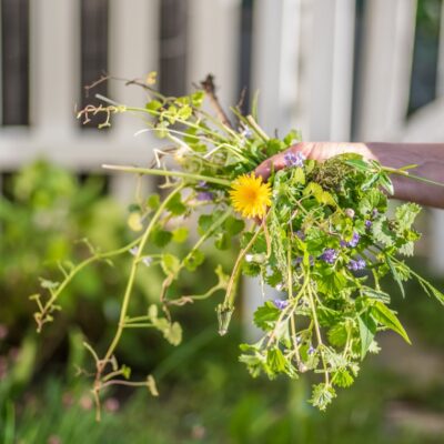 A bundle of weeds after being torn up.