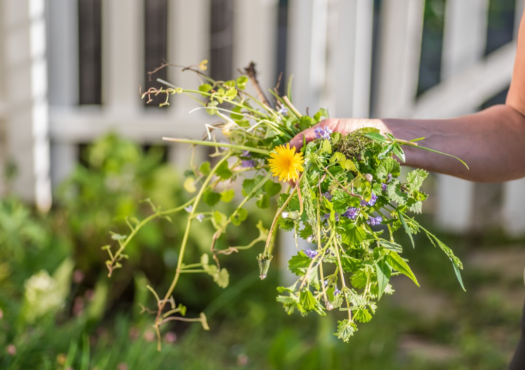 A bundle of weeds after being torn up.