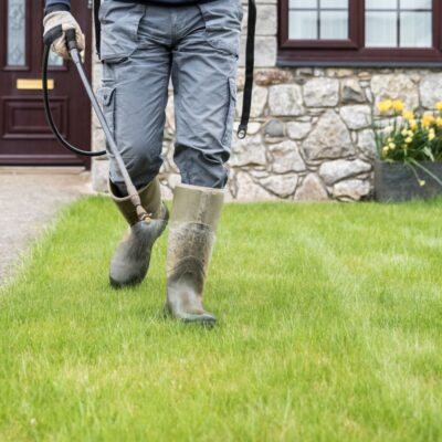 An expert handling a weed control job.