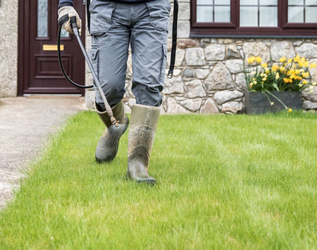 An expert handling a weed control job.