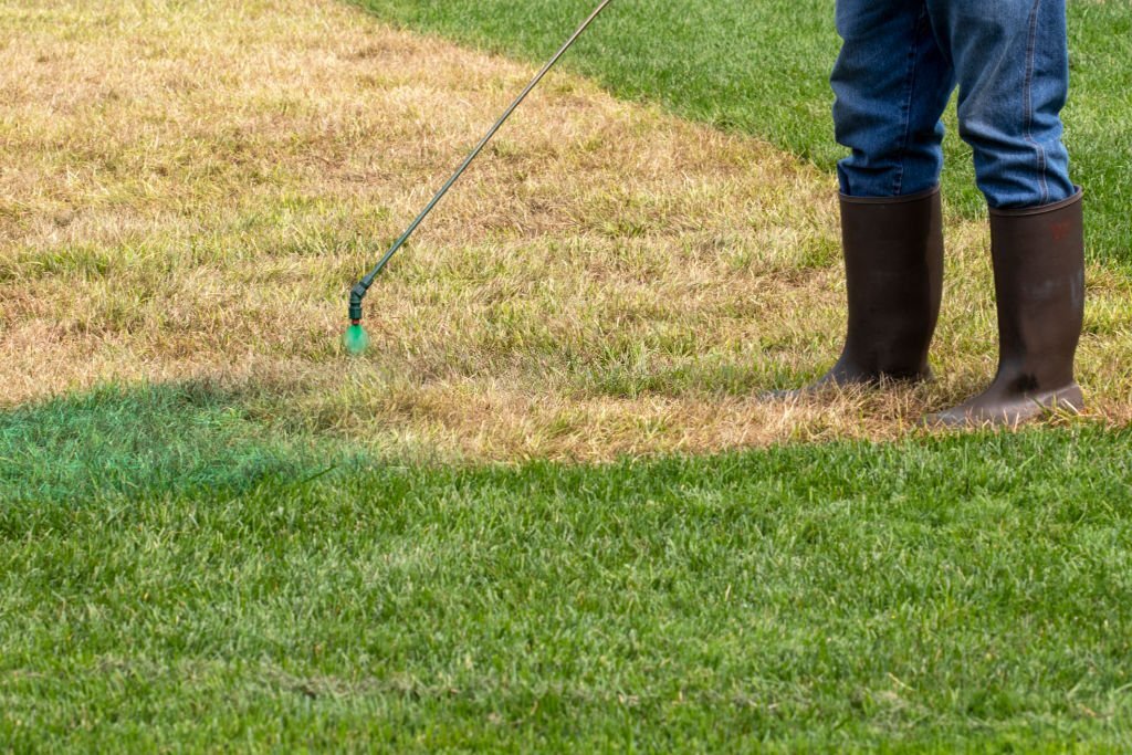 An expert spraying down weed control to ensure a healthy weed free lawn.