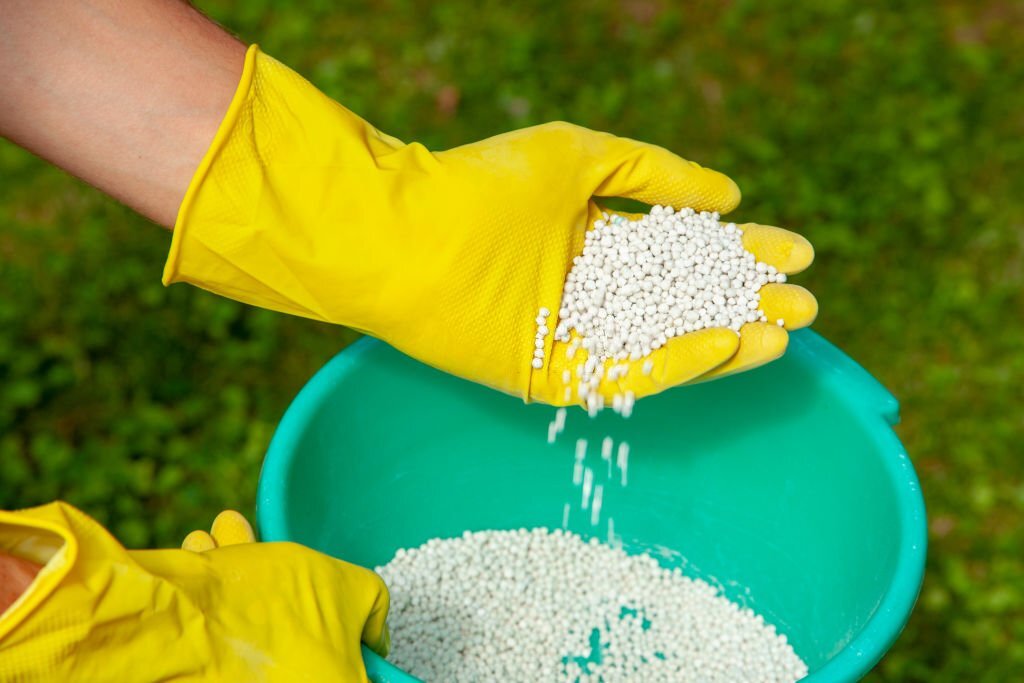 A professional handling a bucket of fertilizer.