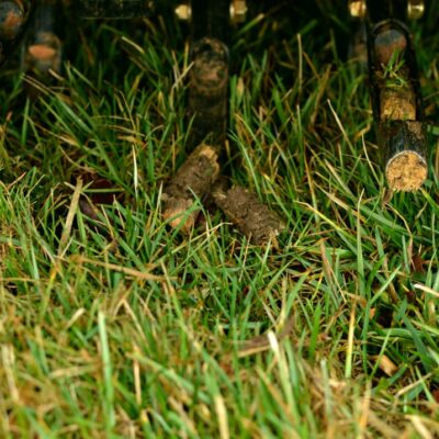 Fertilizer being spread out over a lawn.