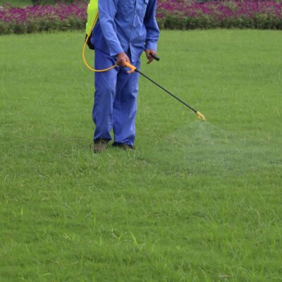An expert lawn care provider spraying down weed control.