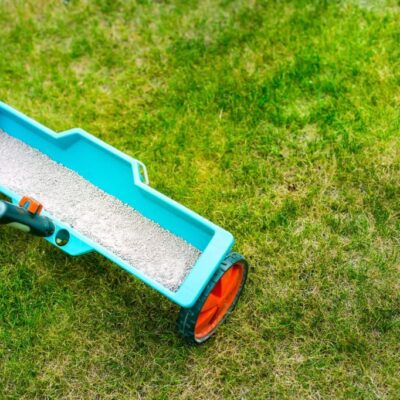 Fertilizer being spread out over a lawn to ensure a healthy lawn.