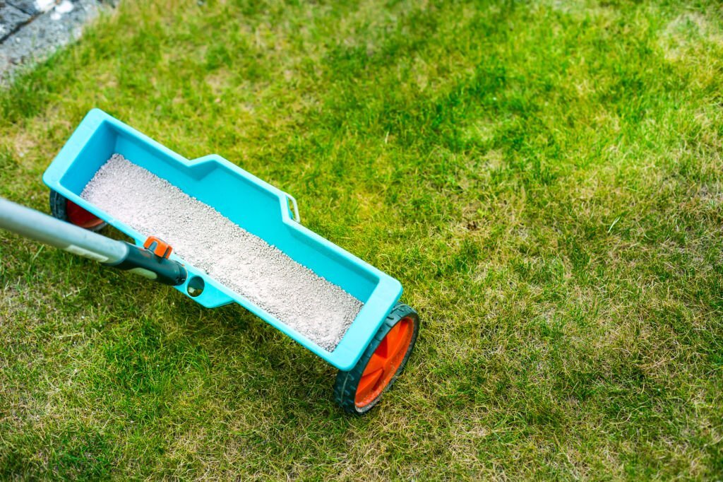 Fertilizer being spread out over a lawn to ensure a healthy lawn.