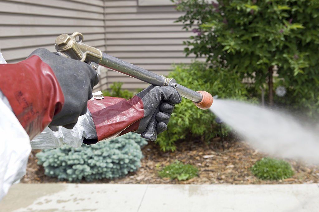 A professional taking care of weed control job.