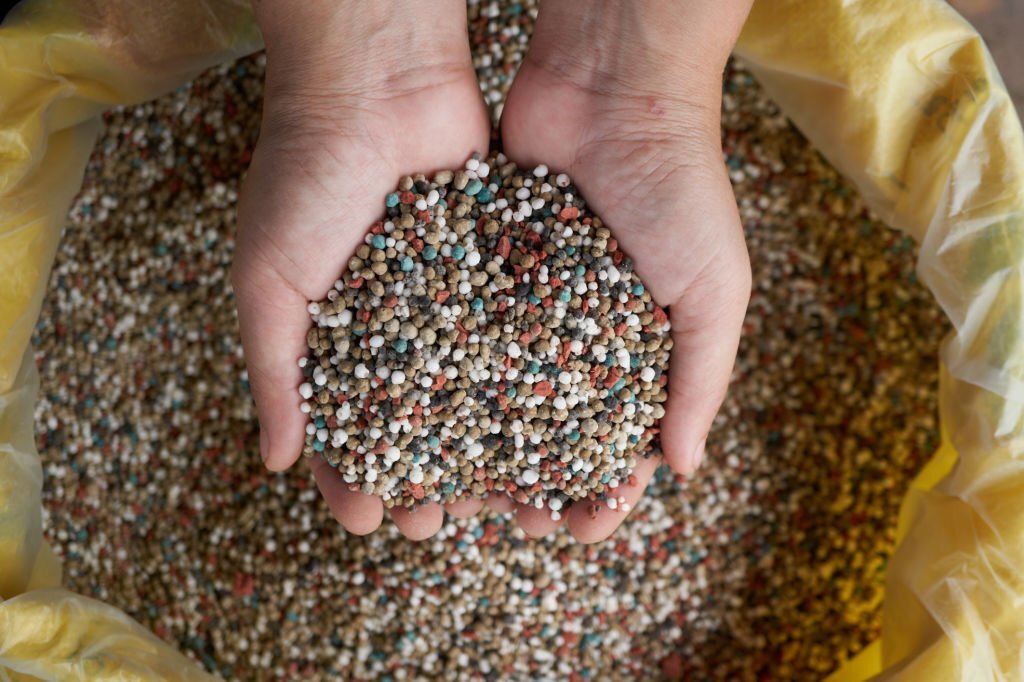 A professional with a scoop of fertilizer in their hands.