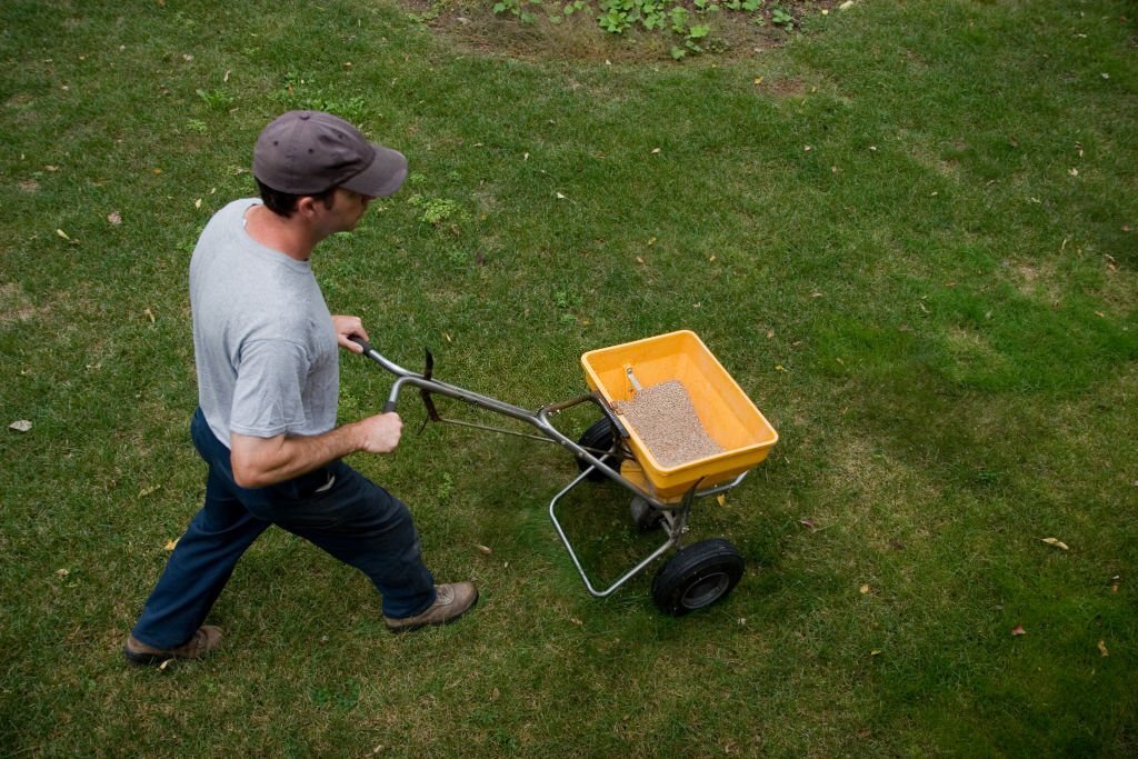 An expert spreading out fertilizer.