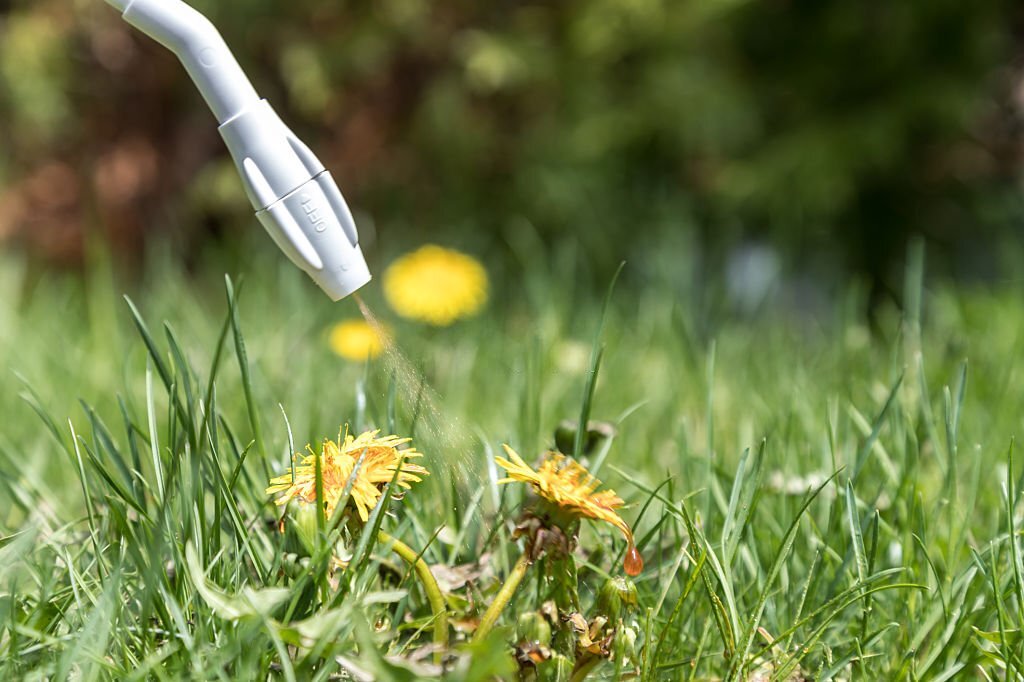 A professional lawn care provider spraying down weed control.