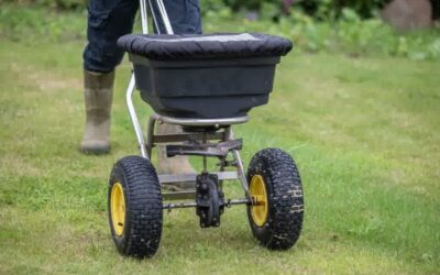 The Best Time For Weed Control & Fertilization For Your Lawn