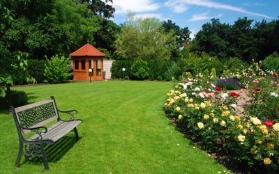 What to Expect For the First Year of Your Lawn Treatment Plan