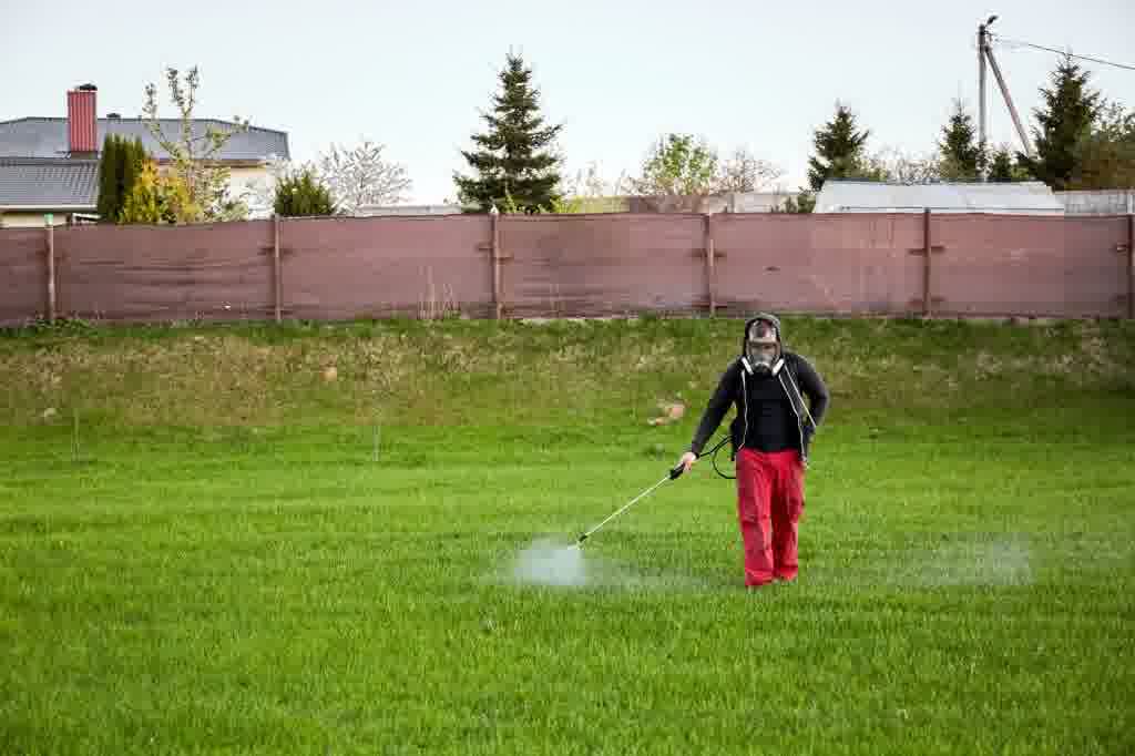 A professional handling a weed control chemical job.