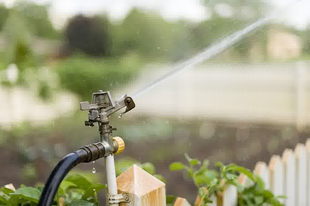 A garden sprinkler sprays water in a steady arc, illustrating efficient lawn irrigation during dry weather for even soil moisture.