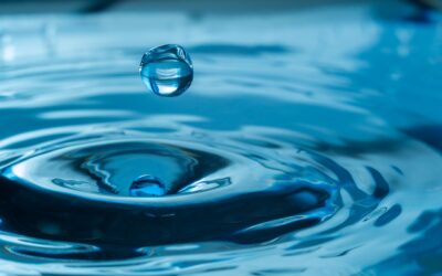 Watering Tips For Lawns In Birmingham AL During a Drought