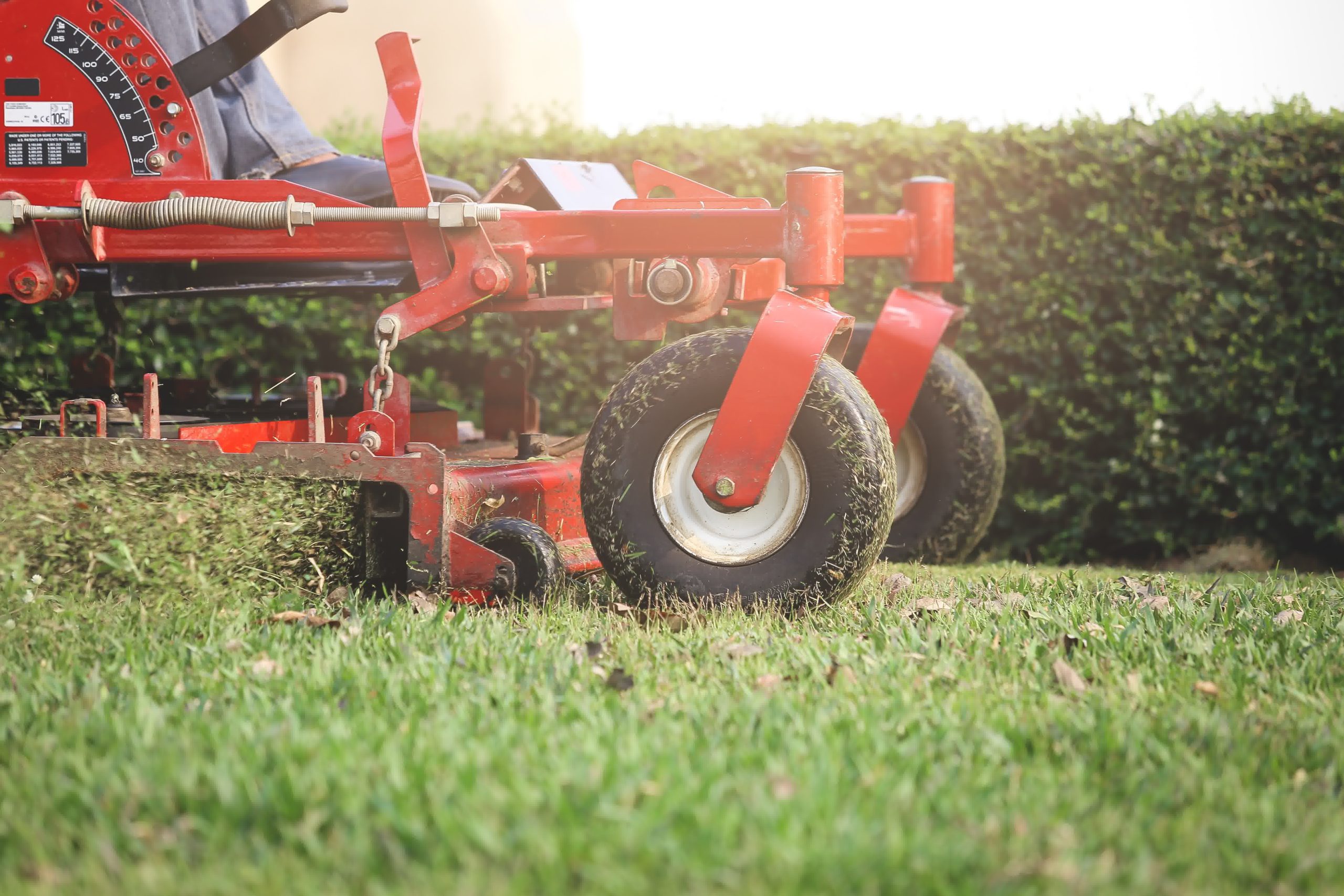 Close-up of red commercial lawn mower cutting grass, showcasing professional weed control and lawn care maintenance in progress.
