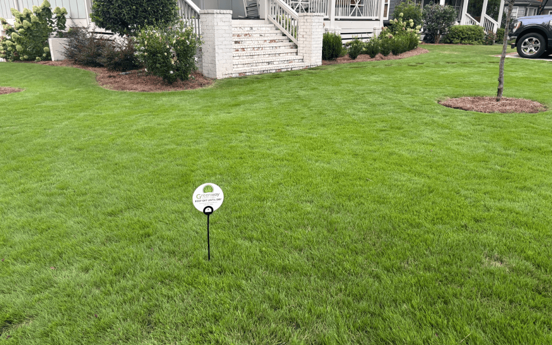 Fertilization | Is Winter The Right Time For Your Lawn And Landscape